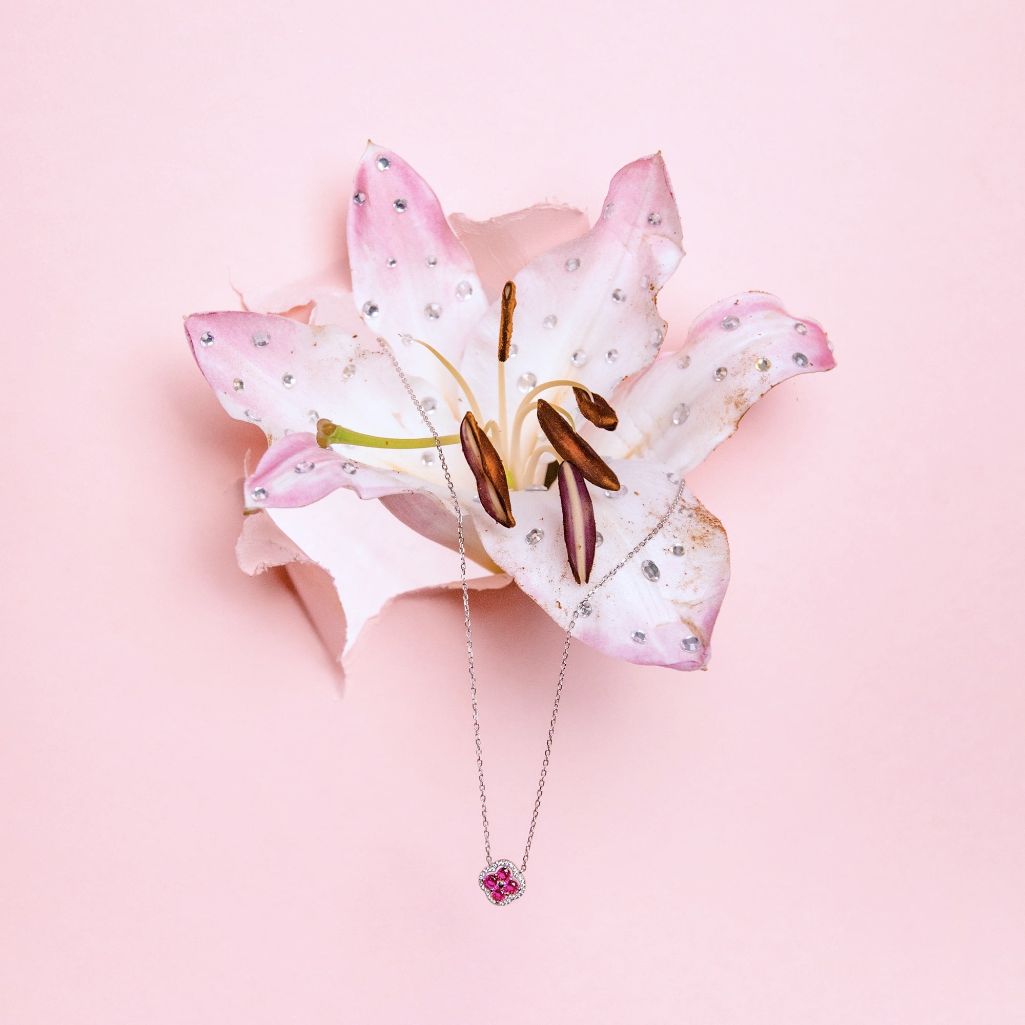 Daisy Pink Necklace in White Gold Flower S925