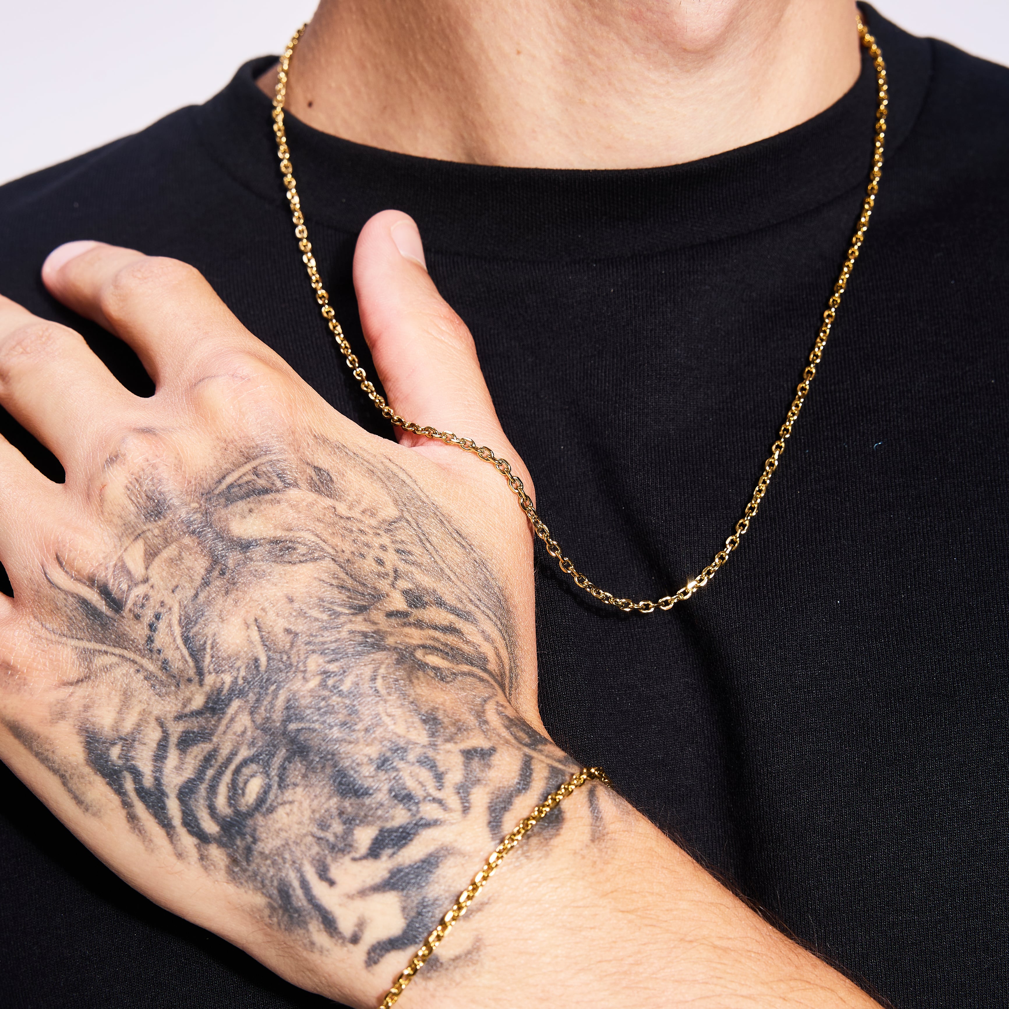 Ankier Chain 3mm Gold