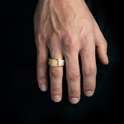 Diamond Band IS Ring Moissanit VVS S925 Gold